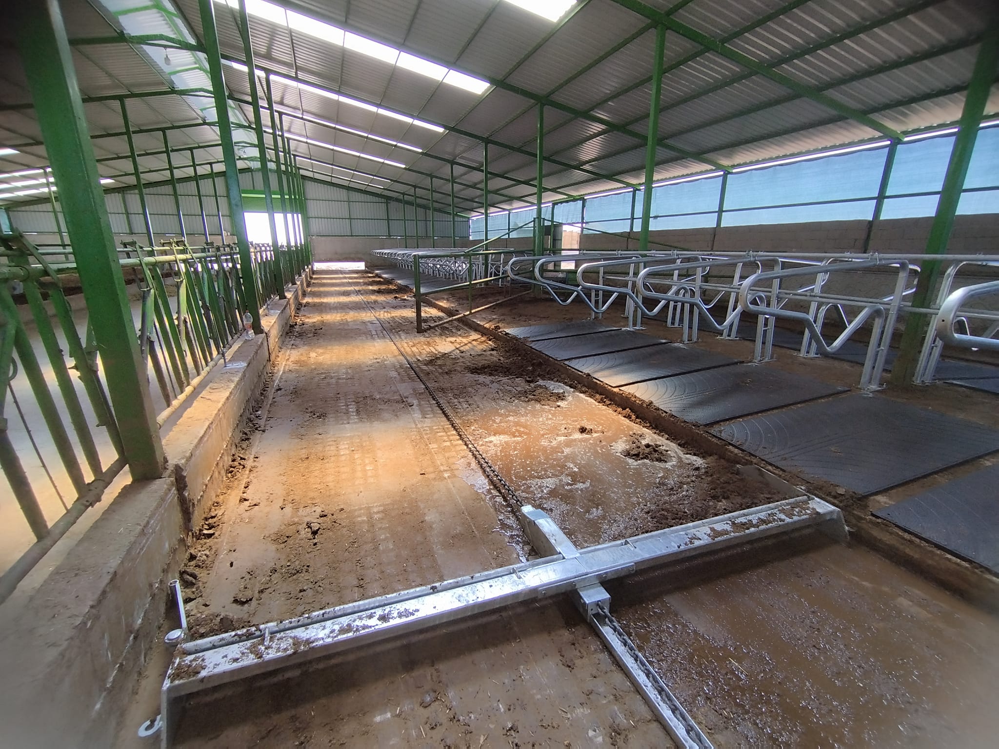 ZİNCİRLİ GÜBRE SIYIRICI / MANURE SCRAPER